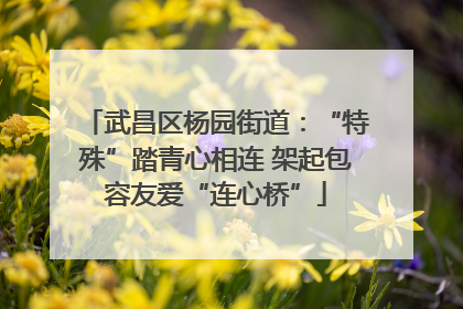 武昌区杨园街道：“特殊”踏青心相连 架起包容友爱“连心桥”