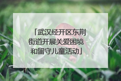 武汉经开区东荆街道开展关爱困境和留守儿童活动