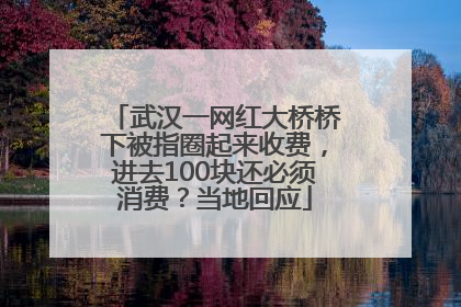 武汉一网红大桥桥下被指圈起来收费，进去100块还必须消费？当地回应