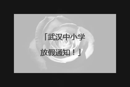 武汉中小学放假通知！