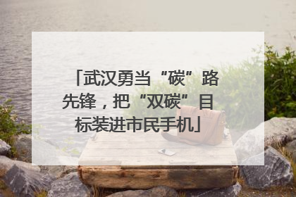 武汉勇当“碳”路先锋，把“双碳”目标装进市民手机