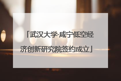 武汉大学·咸宁低空经济创新研究院签约成立