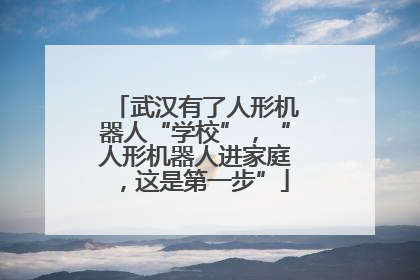 武汉有了人形机器人“学校”，“人形机器人进家庭，这是第一步”