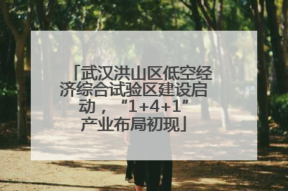武汉洪山区低空经济综合试验区建设启动，“1+4+1”产业布局初现