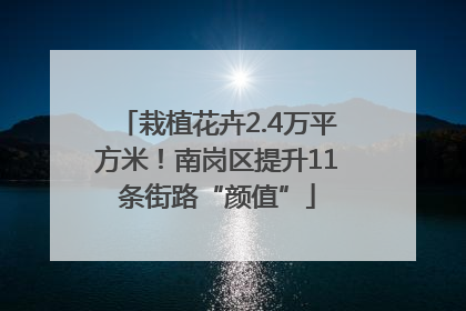 栽植花卉2.4万平方米！南岗区提升11条街路“颜值”