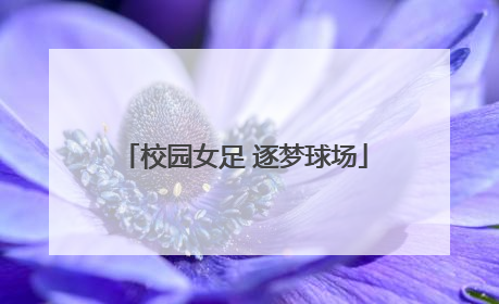 校园女足 逐梦球场