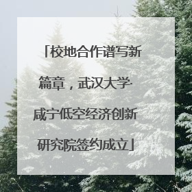 校地合作谱写新篇章，武汉大学·咸宁低空经济创新研究院签约成立