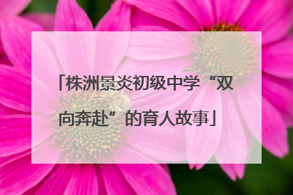 株洲景炎初级中学“双向奔赴”的育人故事