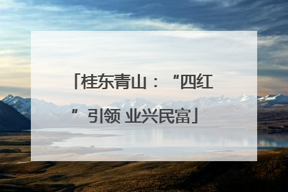 桂东青山：“四红”引领 业兴民富
