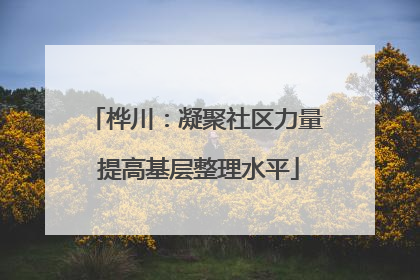 桦川：凝聚社区力量 提高基层整理水平