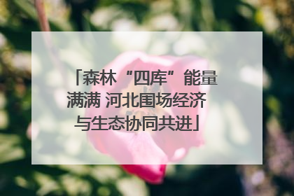 森林“四库”能量满满 河北围场经济与生态协同共进