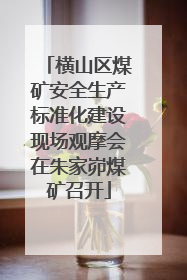 横山区煤矿安全生产标准化建设现场观摩会在朱家峁煤矿召开