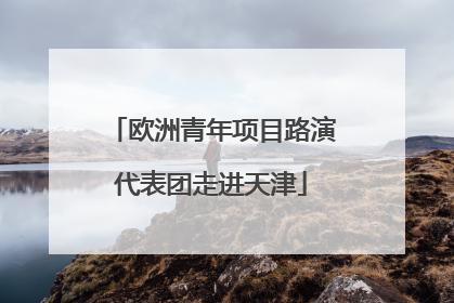 欧洲青年项目路演代表团走进天津