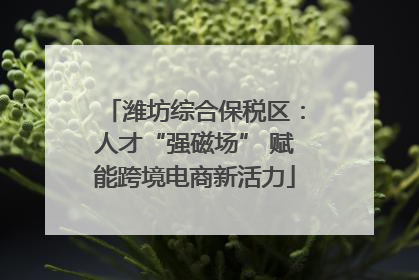 潍坊综合保税区：人才“强磁场” 赋能跨境电商新活力