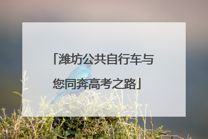 潍坊公共自行车与您同奔高考之路