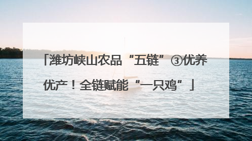 潍坊峡山农品“五链”③优养优产！全链赋能“一只鸡”