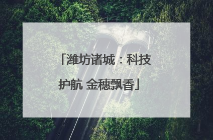潍坊诸城：科技护航 金穗飘香