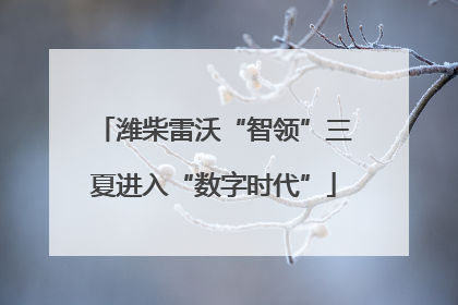 潍柴雷沃“智领”三夏进入“数字时代”