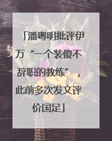 潘粤明批评伊万“一个装傻不辞职的教练”，此前多次发文评价国足