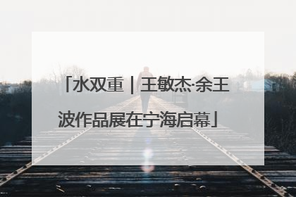 水双重｜王敏杰·余王波作品展在宁海启幕