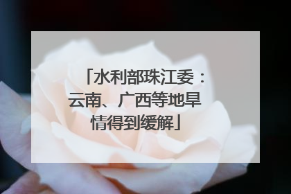 水利部珠江委：云南、广西等地旱情得到缓解