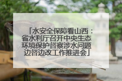 水安全保障看山西：省水利厅召开中央生态环境保护督察涉水问题边督边改工作推进会