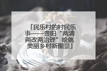 民乐村的村民乐事——贵阳“两清两改两治理”绘就美丽乡村新图景