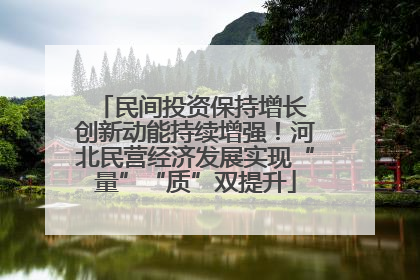 民间投资保持增长 创新动能持续增强！河北民营经济发展实现“量”“质”双提升