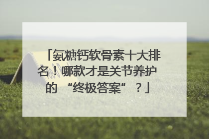 氨糖钙软骨素十大排名！哪款才是关节养护的 “终极答案”？