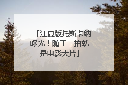 江夏版托斯卡纳曝光！随手一拍就是电影大片