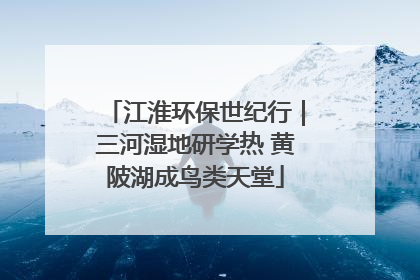 江淮环保世纪行｜三河湿地研学热 黄陂湖成鸟类天堂