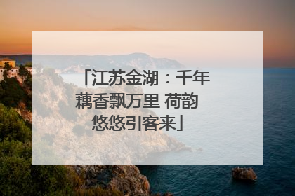 江苏金湖：千年藕香飘万里 荷韵悠悠引客来