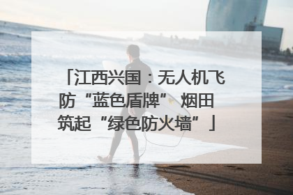 江西兴国：无人机飞防“蓝色盾牌” 烟田筑起“绿色防火墙”