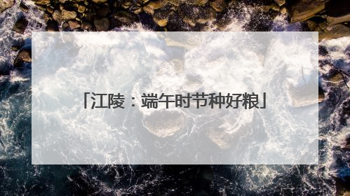 江陵：端午时节种好粮