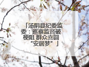 汤阴县纪委监委：巡察监督破梗阻 群众喜圆“安居梦”