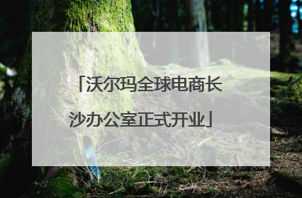 沃尔玛全球电商长沙办公室正式开业