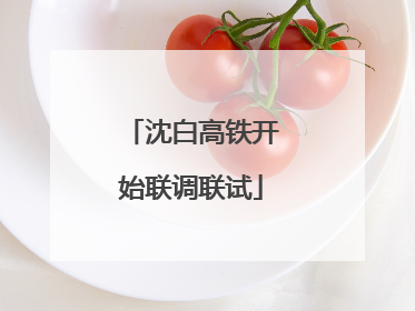 沈白高铁开始联调联试