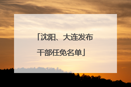 沈阳、大连发布干部任免名单