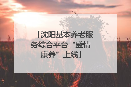 沈阳基本养老服务综合平台“盛情康养”上线