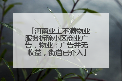 河南业主不满物业服务拆除小区商业广告，物业：广告并无收益，街道已介入