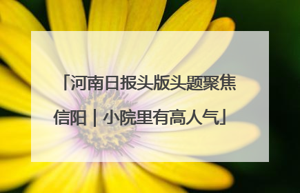 河南日报头版头题聚焦信阳｜小院里有高人气