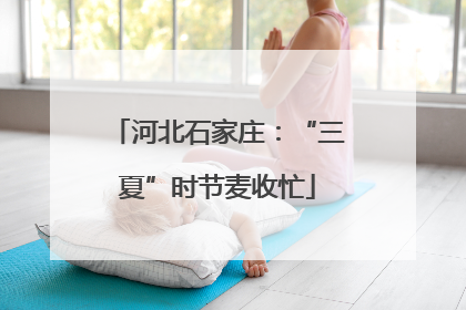 河北石家庄：“三夏”时节麦收忙