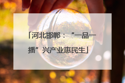 河北邯郸：“一品一播”兴产业惠民生