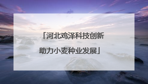 河北鸡泽科技创新助力小麦种业发展