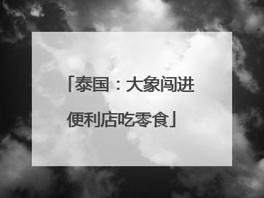 泰国：大象闯进便利店吃零食
