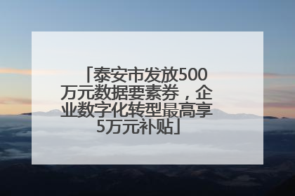 泰安市发放500万元数据要素券，企业数字化转型最高享5万元补贴