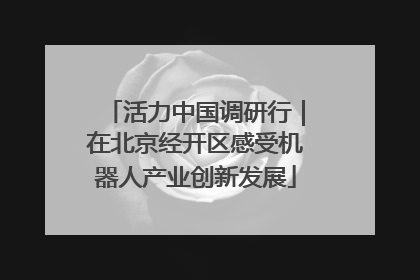 活力中国调研行｜在北京经开区感受机器人产业创新发展