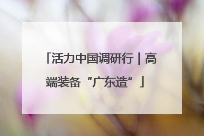 活力中国调研行｜高端装备“广东造”