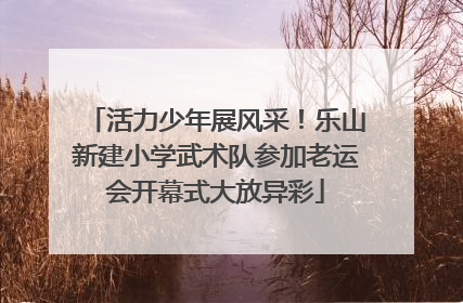 活力少年展风采！乐山新建小学武术队参加老运会开幕式大放异彩