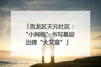 洛龙区天元社区：“小网格”书写基层治理“大文章”